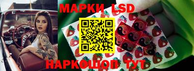 spice Кинель