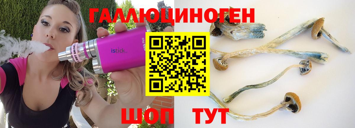Щёлково  Галлюциногенные грибы Magic Shrooms  Вход с VPN 